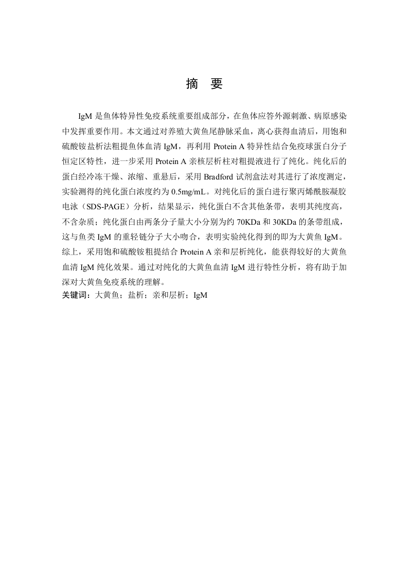 大黄鱼血清IgM的纯化及其特性分析