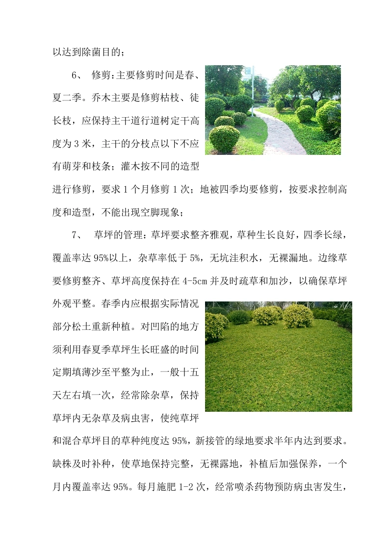 图片[8]-绿化养护方案