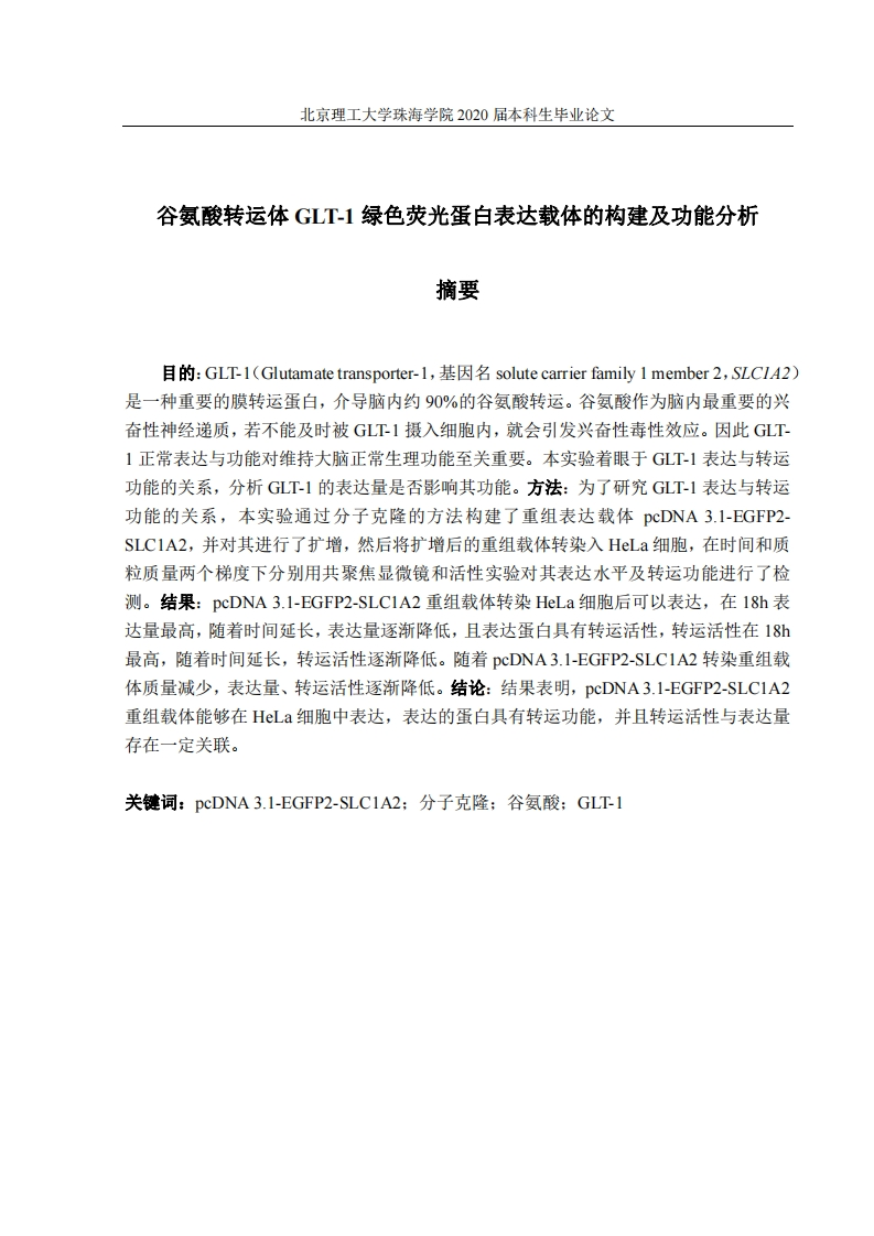谷氨酸转运体GLT-1绿色荧光蛋白表达载体的构建及功能分析